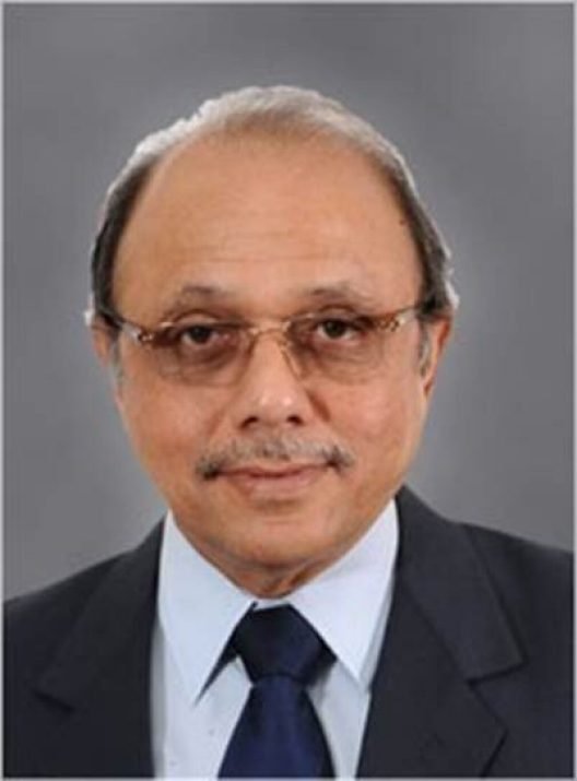 Prof. K. Ramnarayan